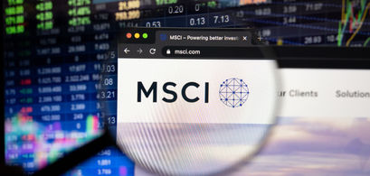 MSCI U.S. Large Cap 300 Index