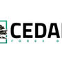 CedarFX