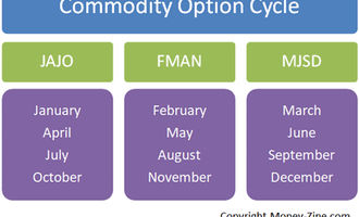 option cycle