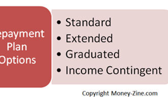 repayment plan options